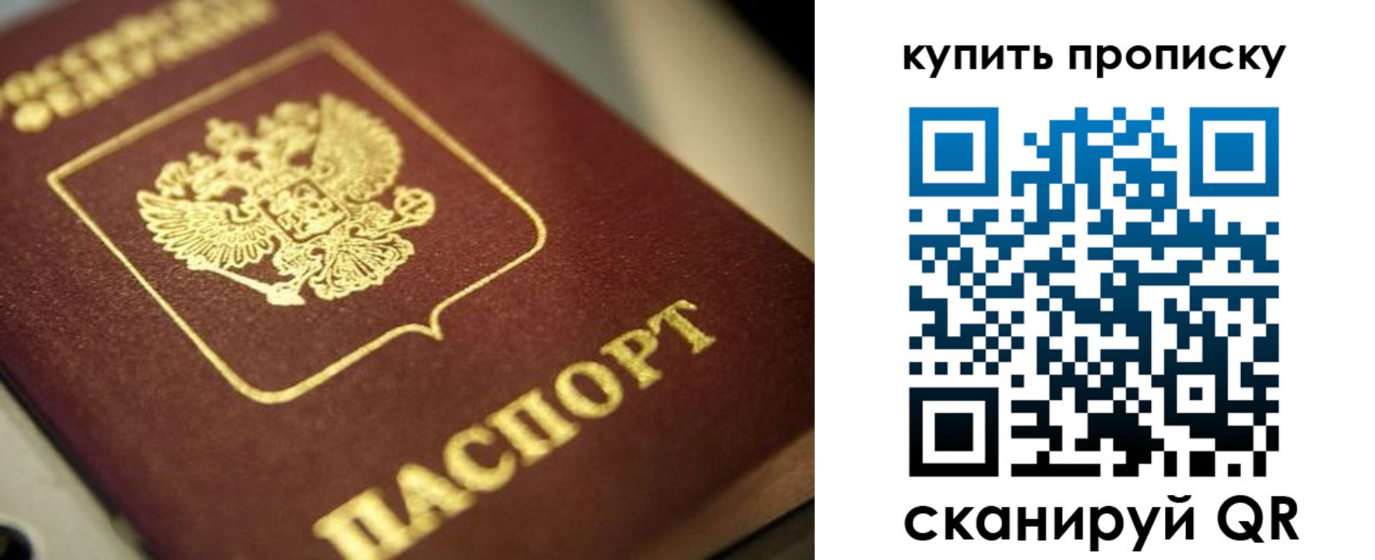 прописка поиск в Лесозаводске